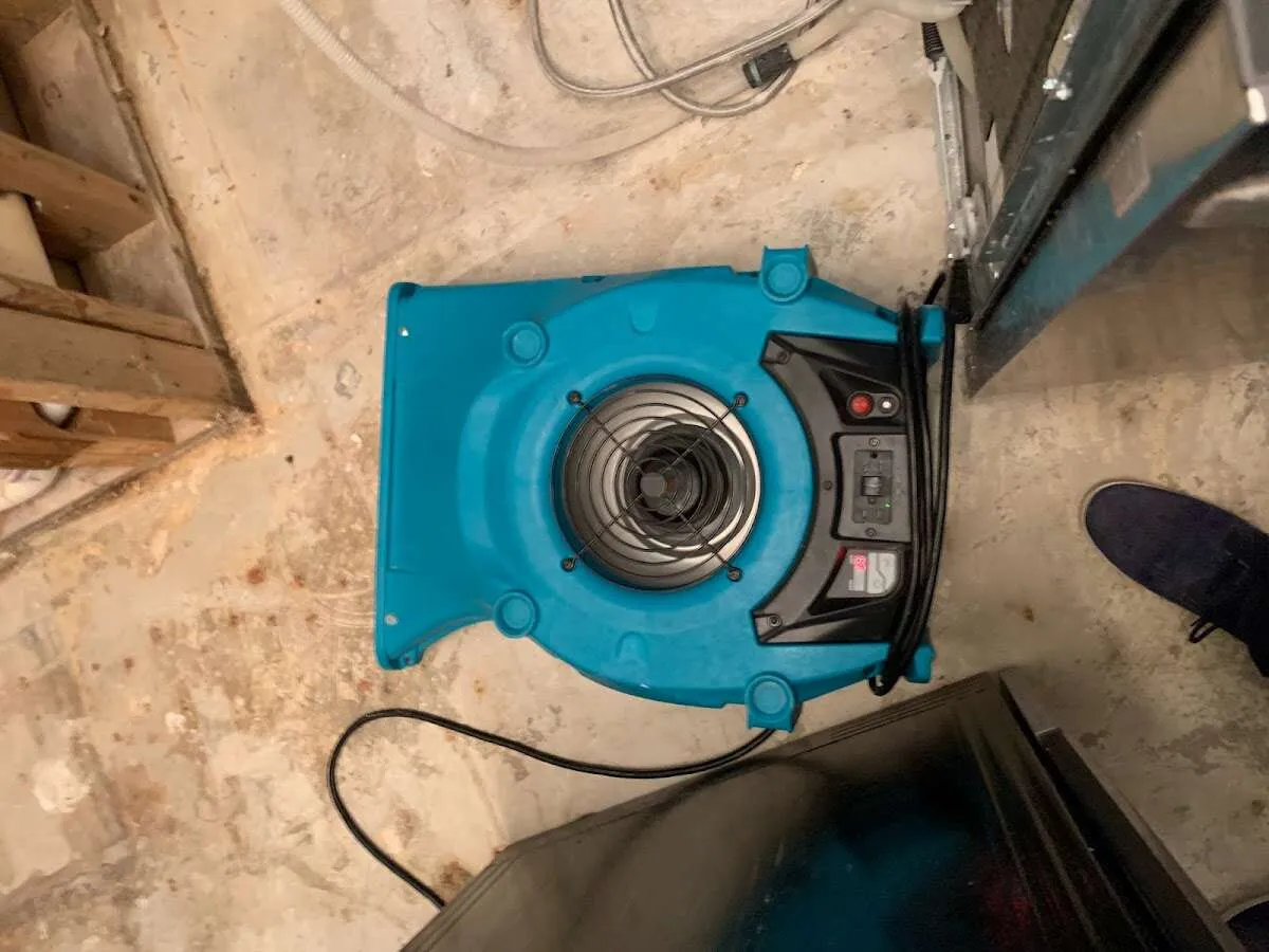 Air mover drying equipment for Mold Remediation & Removal in Versailles